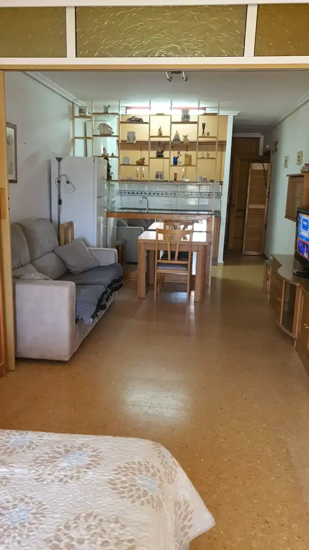Sala de estar de Loft de alquiler en El Campello con Jardín privado, Amueblado y Balcón