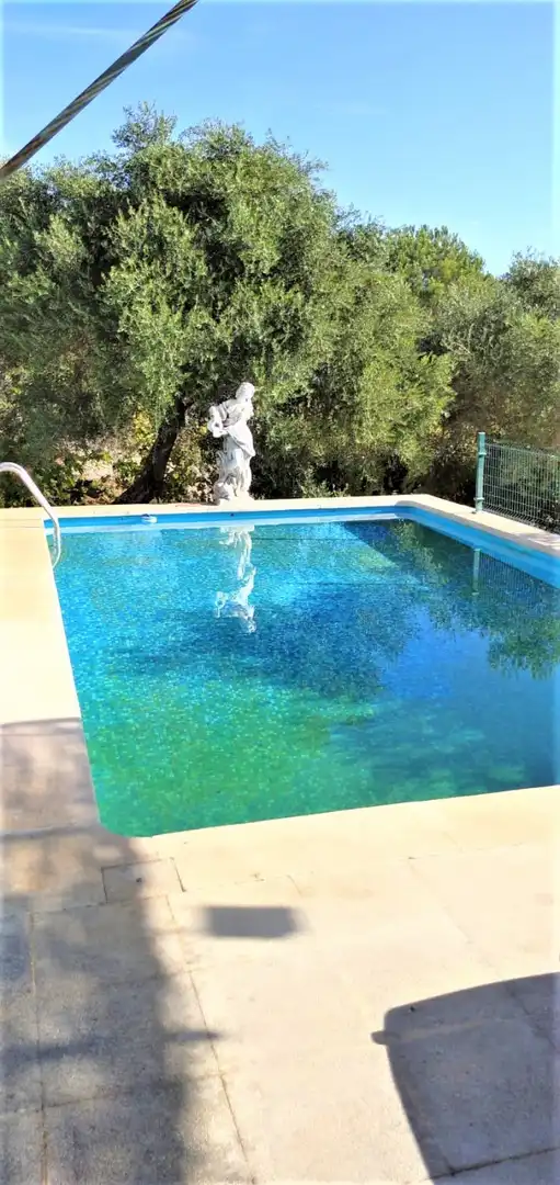 Haus mit Pool zum Verkauf in Castilblanco de los Arroyos, imagen 23