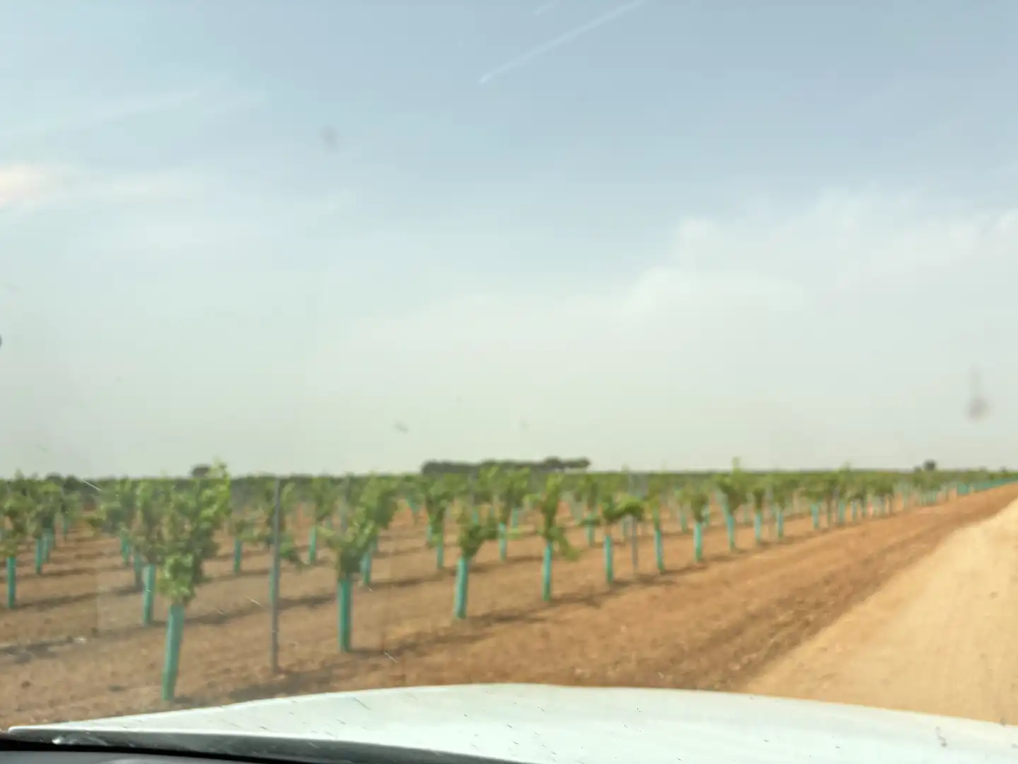 Terreno rustico in vendita a N/A, imagen 35