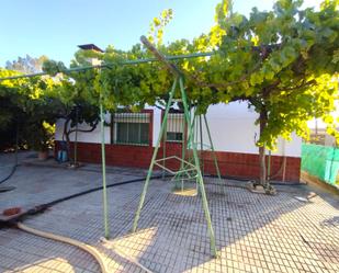 Garden of Country house for sale in Valverde de Mérida