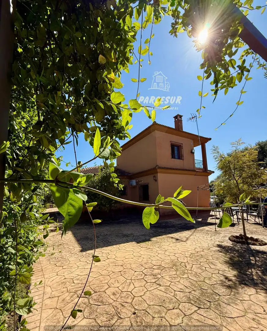 Haus mit Pool zum Verkauf in Almodóvar del Río