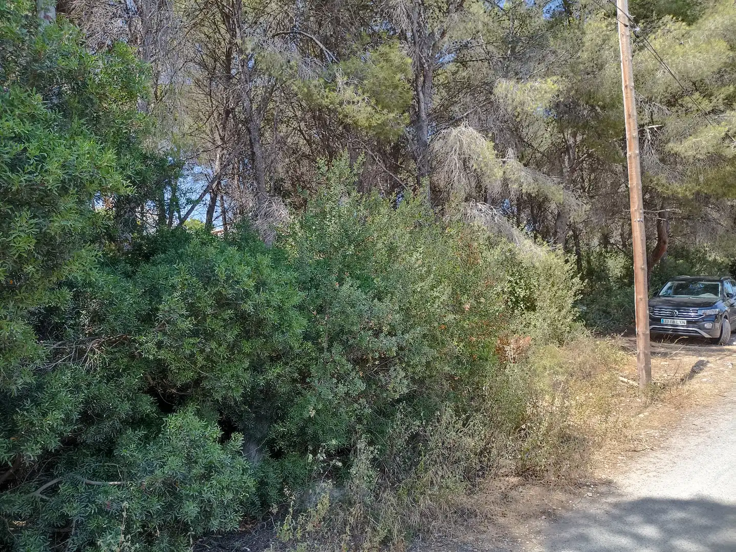 Terreno residencial en venta en Pinar del Advocat - Cometa, imagen 7
