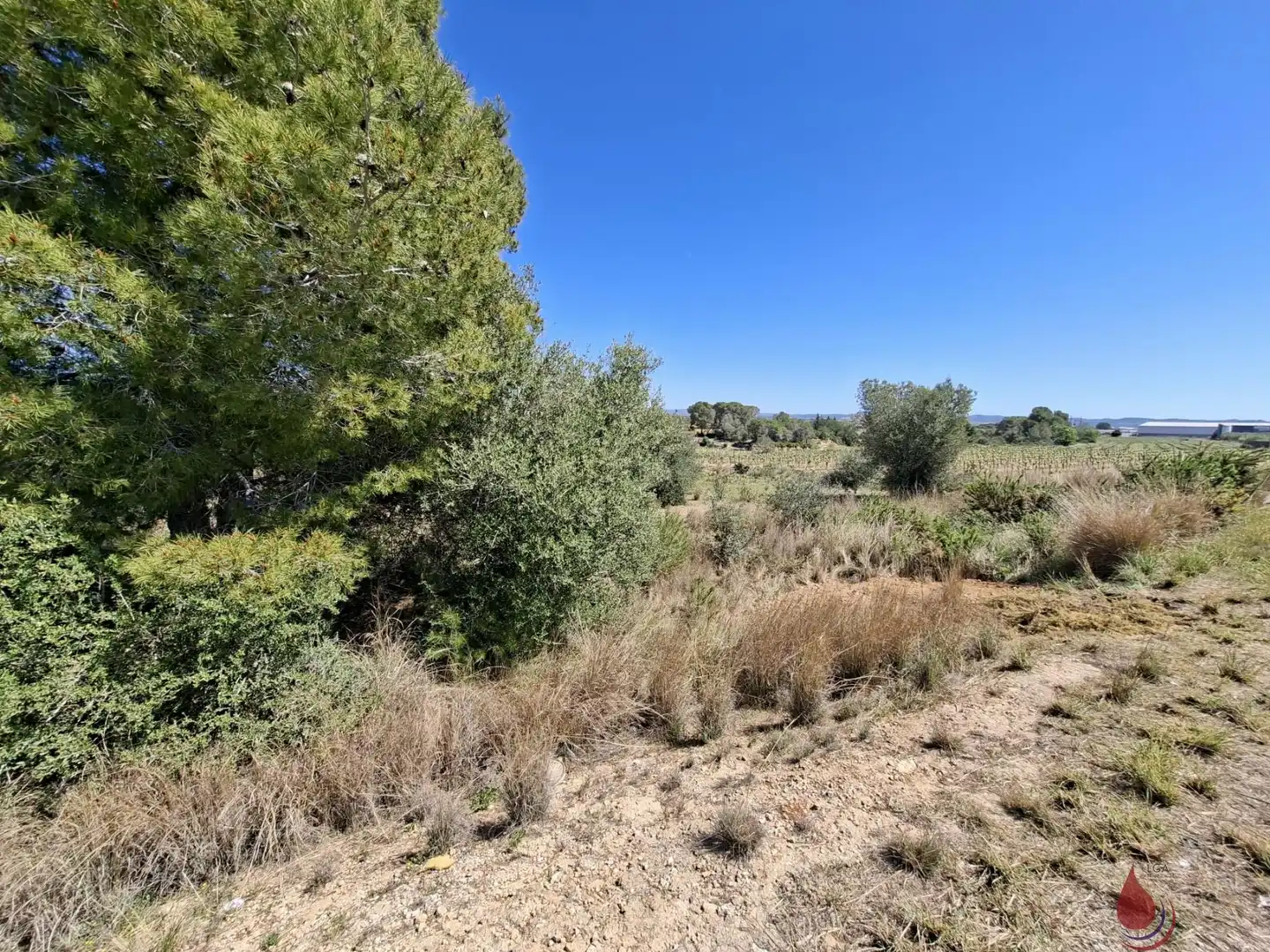 Terrenos y solares en venta en CTRA EL VENDRELL 593, imagen 7