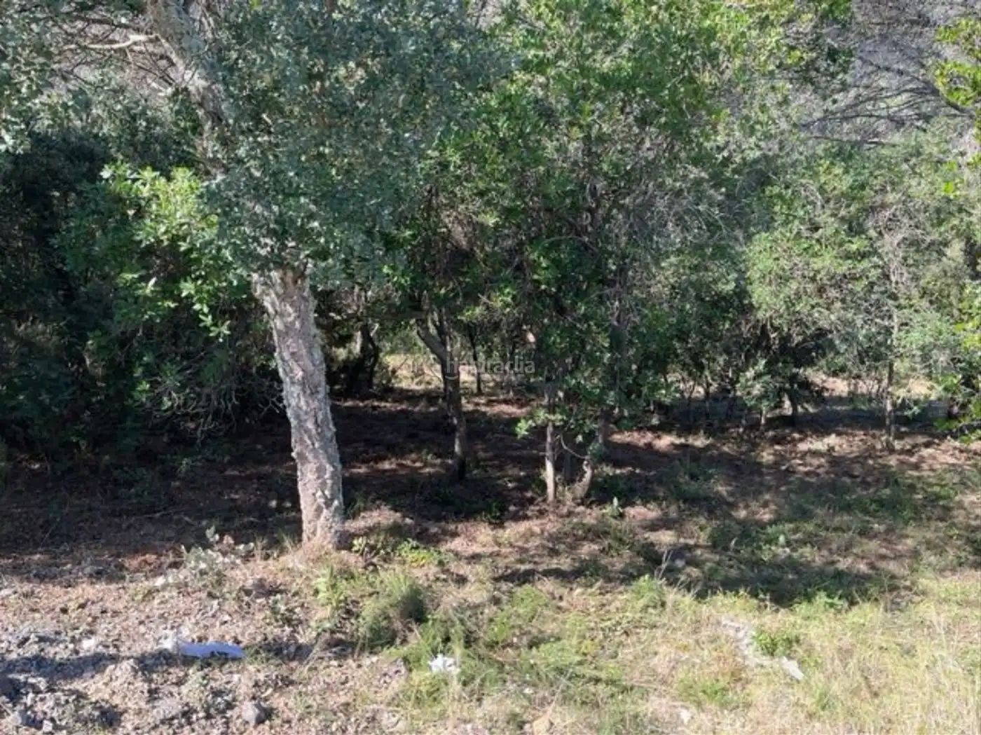 Residential land for sale in Carrer Penya de les Cols 67