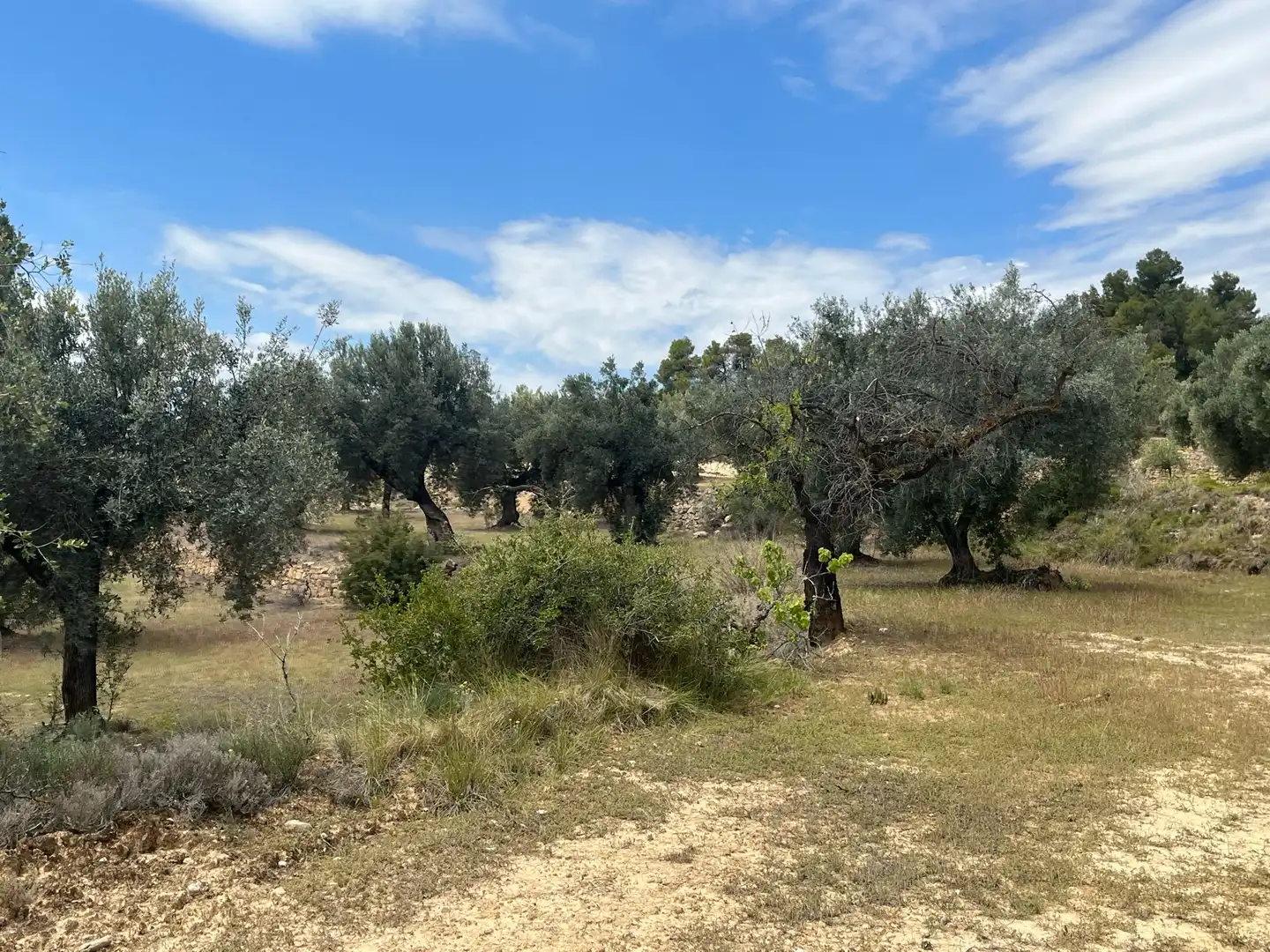 Terreni e lotti in vendita a Cretas, imagen 2
