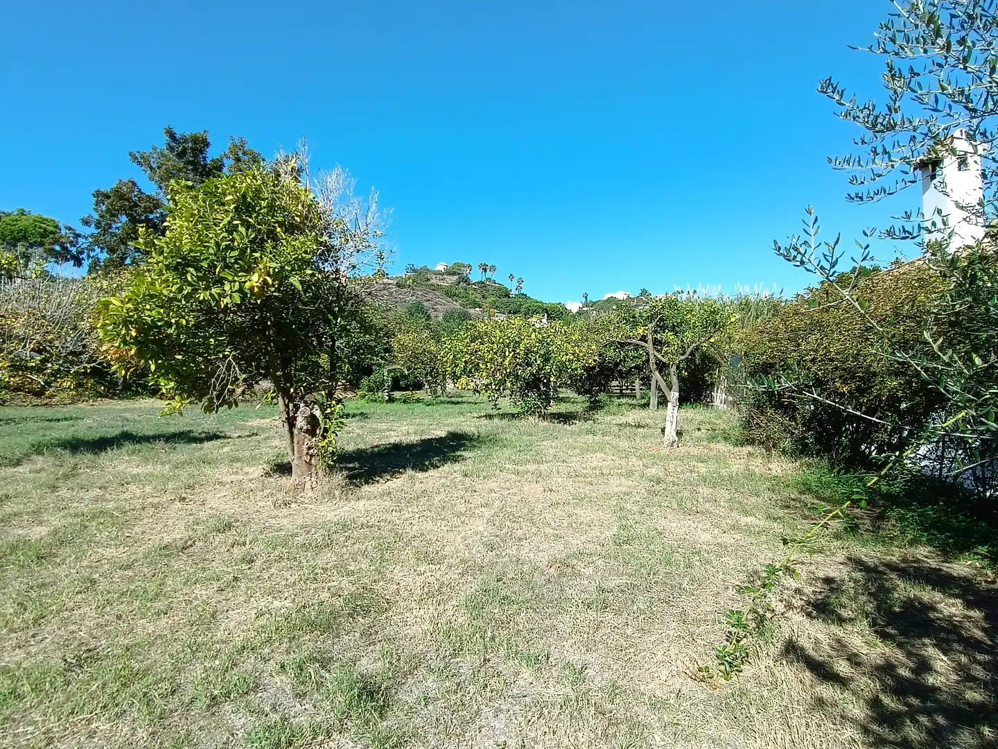 Finca rústica en venta en Estepona con Jardín privado, Terraza y Amueblado
