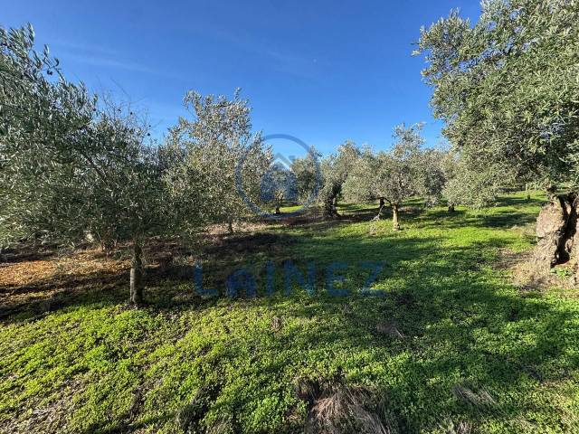 Terreno en Venta en gran capitan en La Granjuela