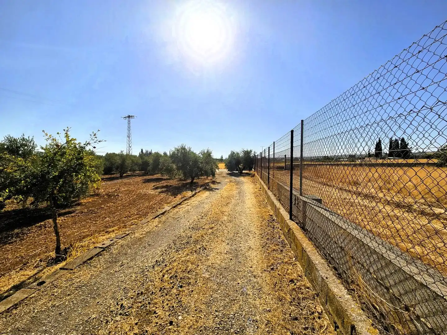 Terreny rústic en venda a Moraleda de Zafayona, imagen 54