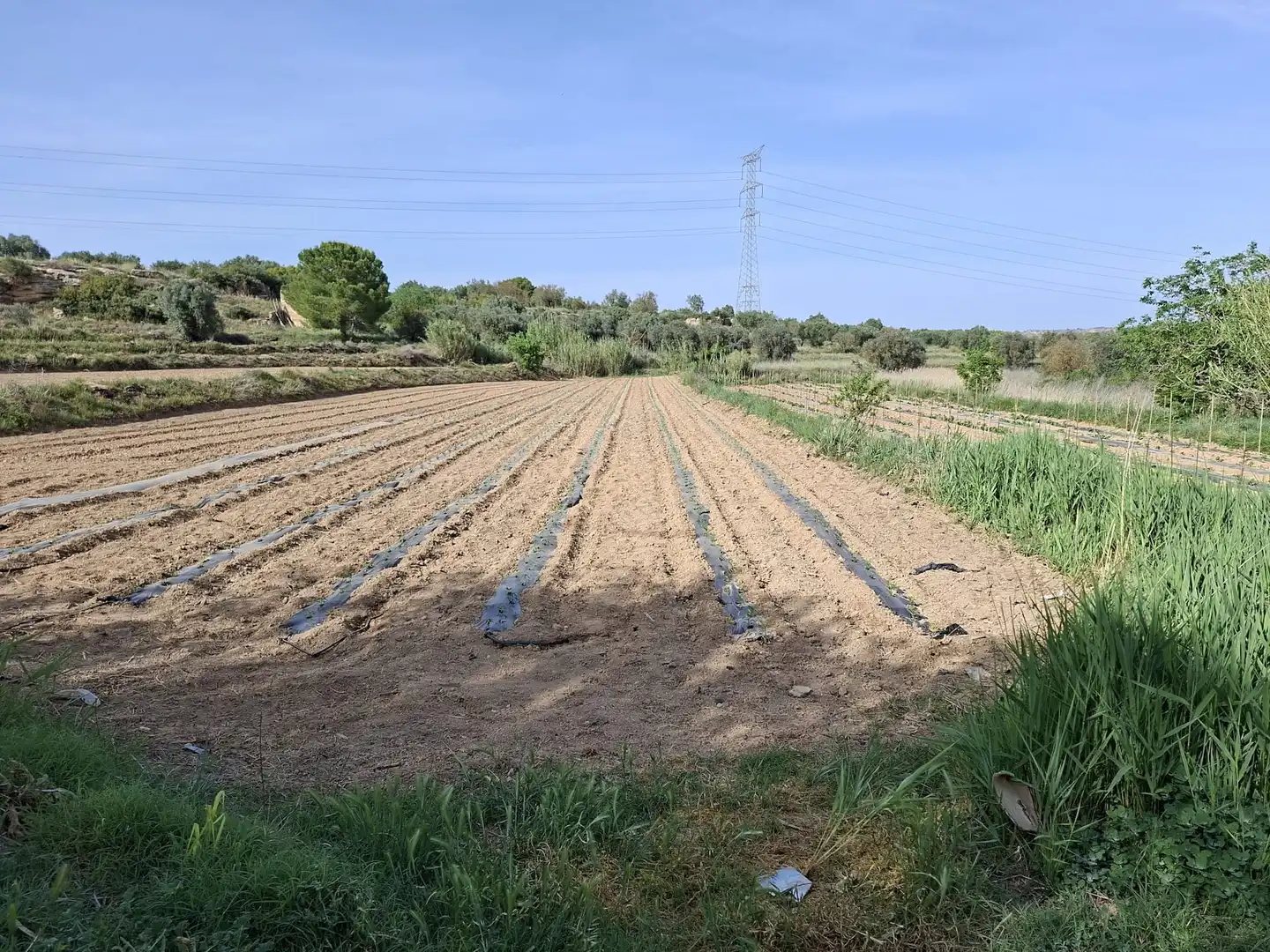 Finca rústica en venda en Caspe