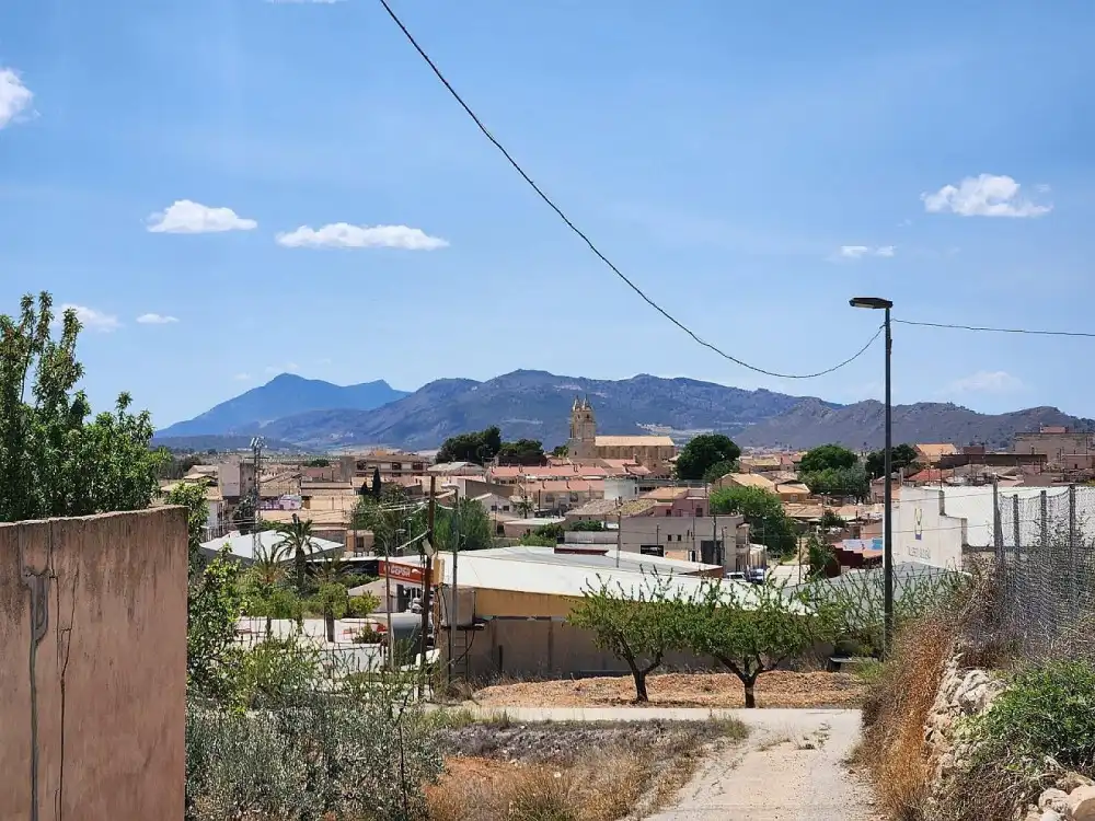 Vista exterior de Casa o chalet en venta en Algueña
