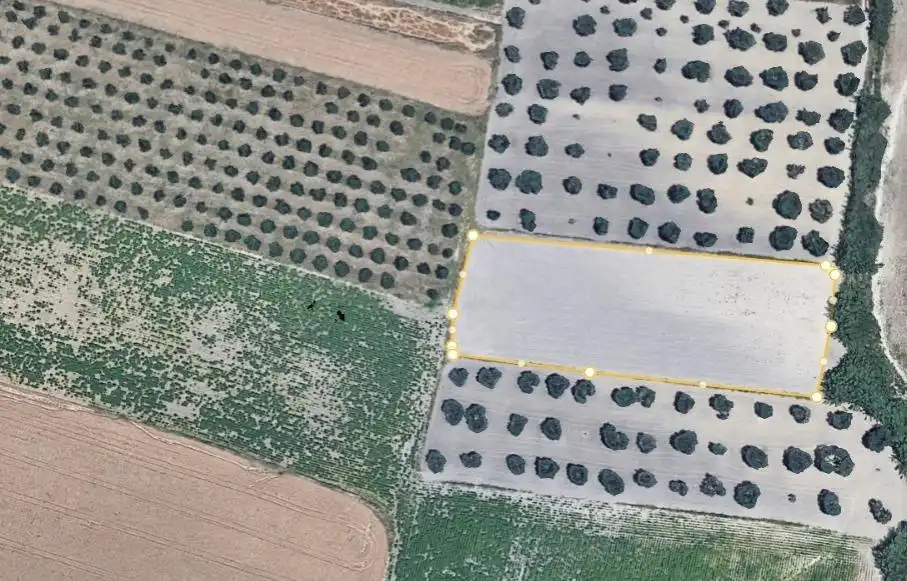Rural land for sale in Valencina de la Concepción, imagen 3
