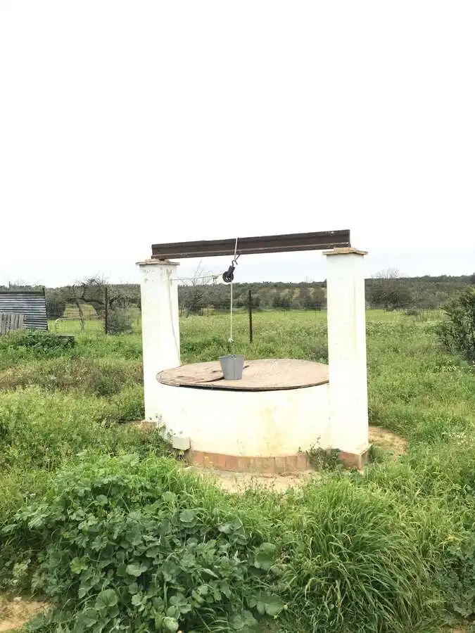 Casa rústica amb piscina en venda a Almonte ciudad, imagen 7