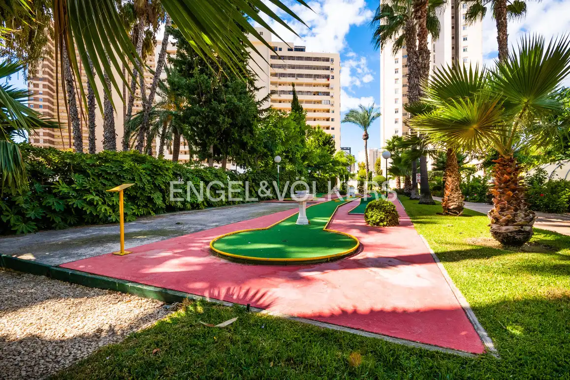 Vista exterior de Àtic en venda en Benidorm amb Aire condicionat, Jardí privat i Piscina comunitària