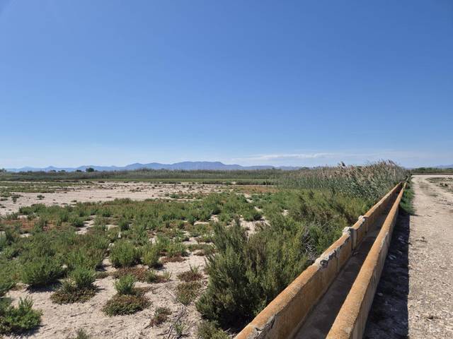 Terreno en Venta en La Foia - Daimés - Asprella