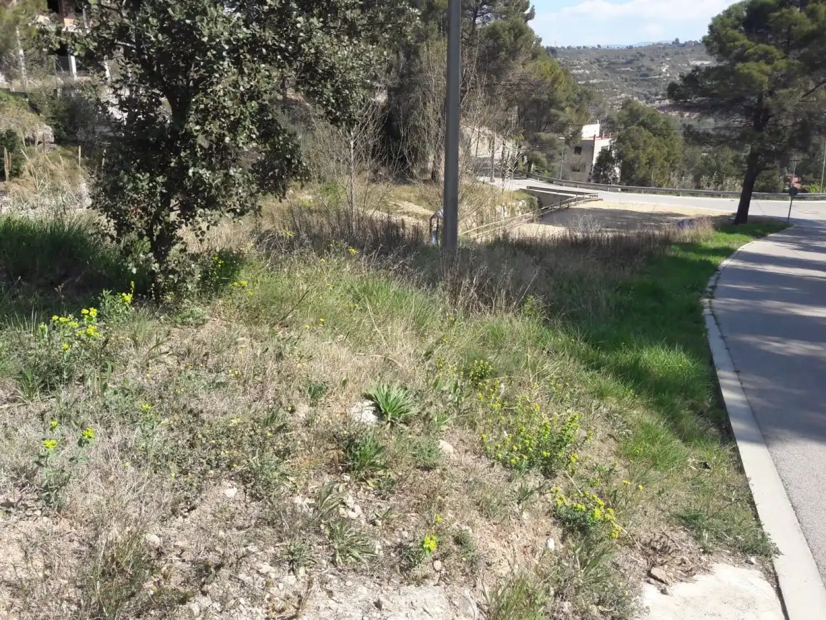 Residential land for sale in Calle DE LA ALZINA, imagen 11