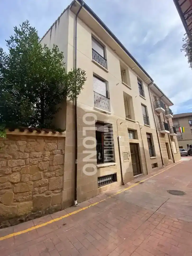 Vista exterior de Apartament en venda en Casalarreina amb Calefacció, Parquet i Moblat