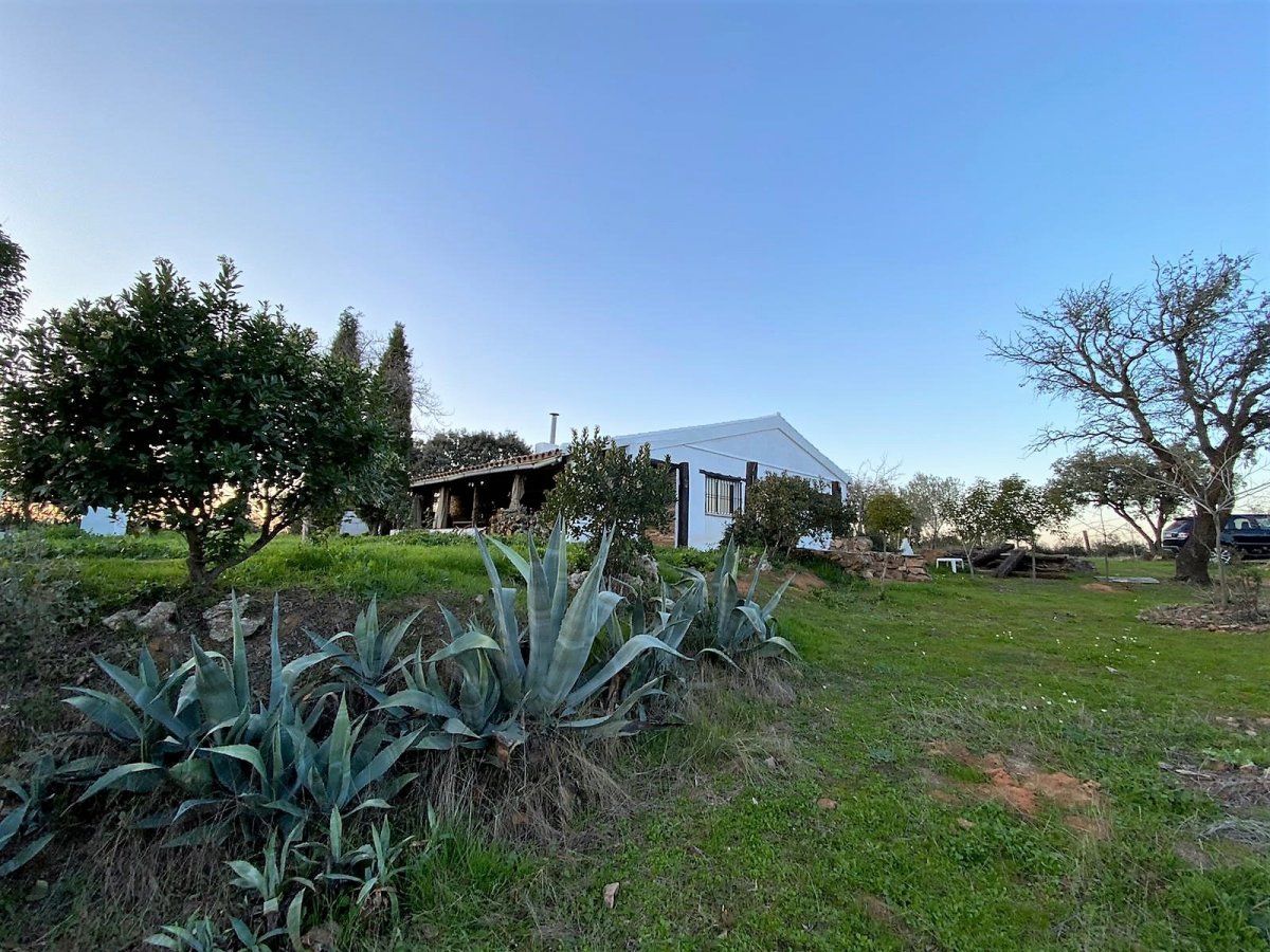 Garten von Country house zum verkauf in Almadén mit Heizung, Privatgarten und Schwimmbad