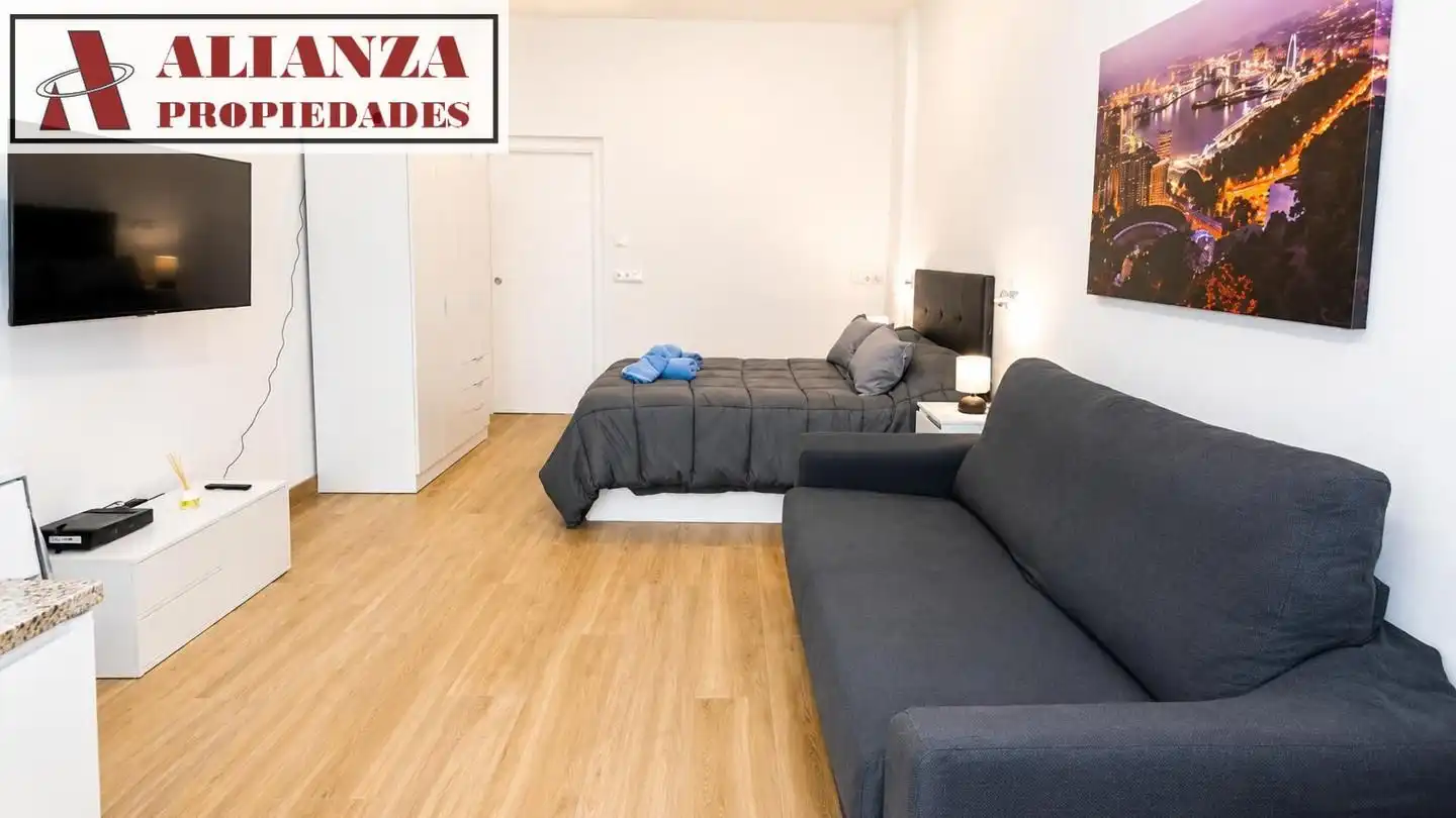 Studio zur Miete in Cruz de Humilladero, imagen 6