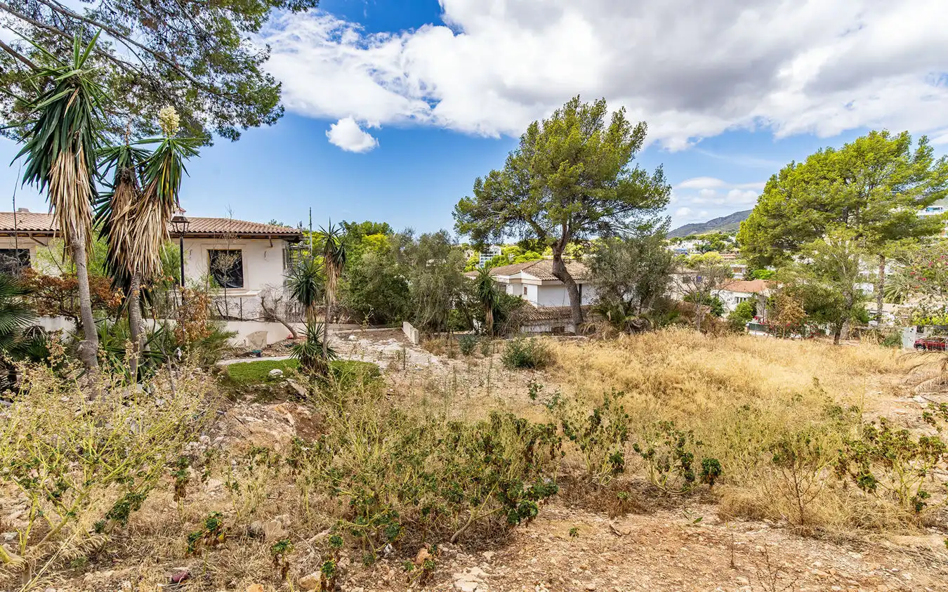 Lands and plots for sale in Portals Nous, imagen 6