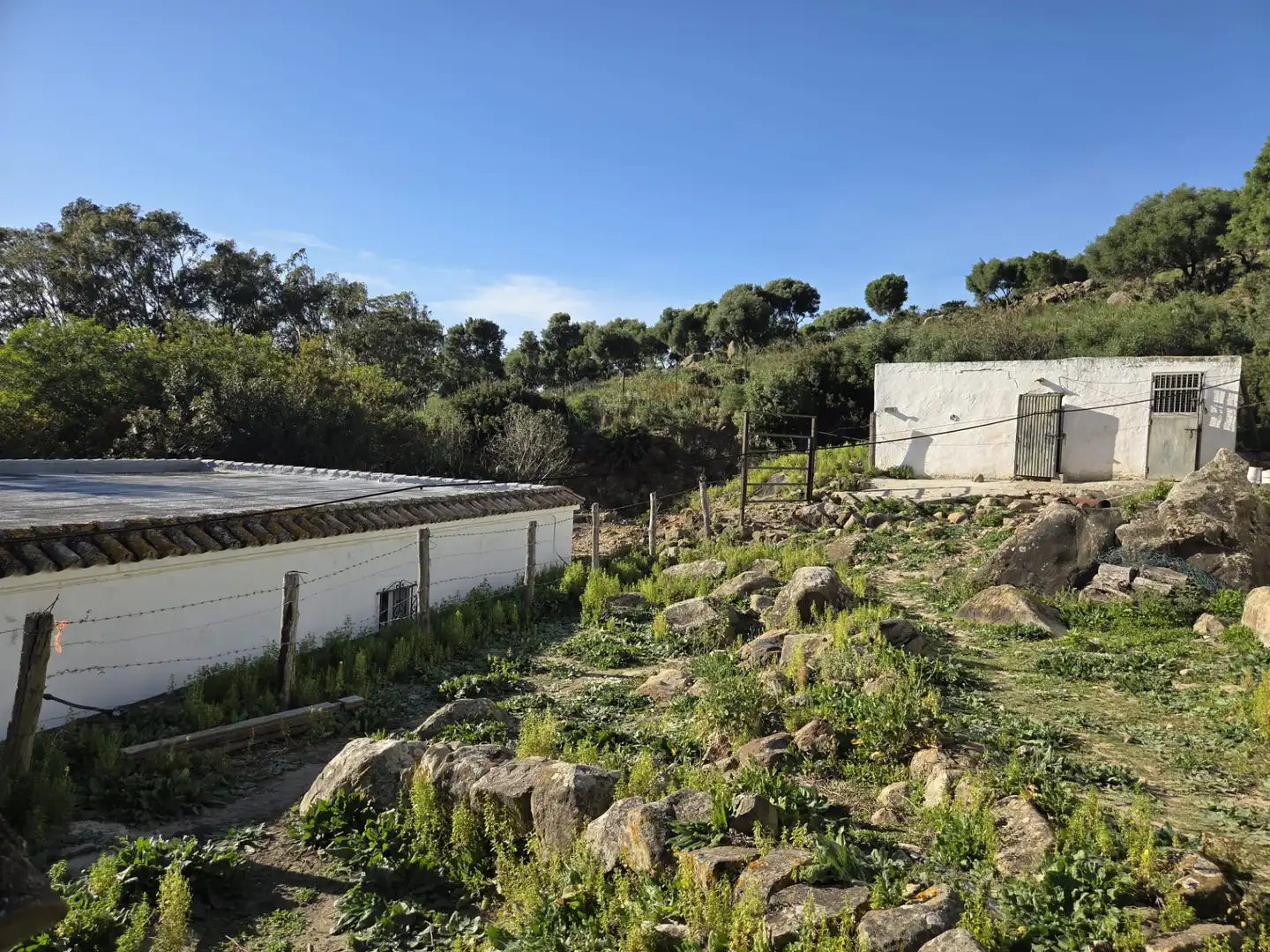 Country homes for sale in Tarifa ciudad