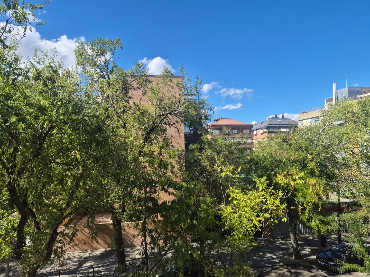 Apartament amb piscina de lloguer a Calle de Protasio Gómez, imagen 5
