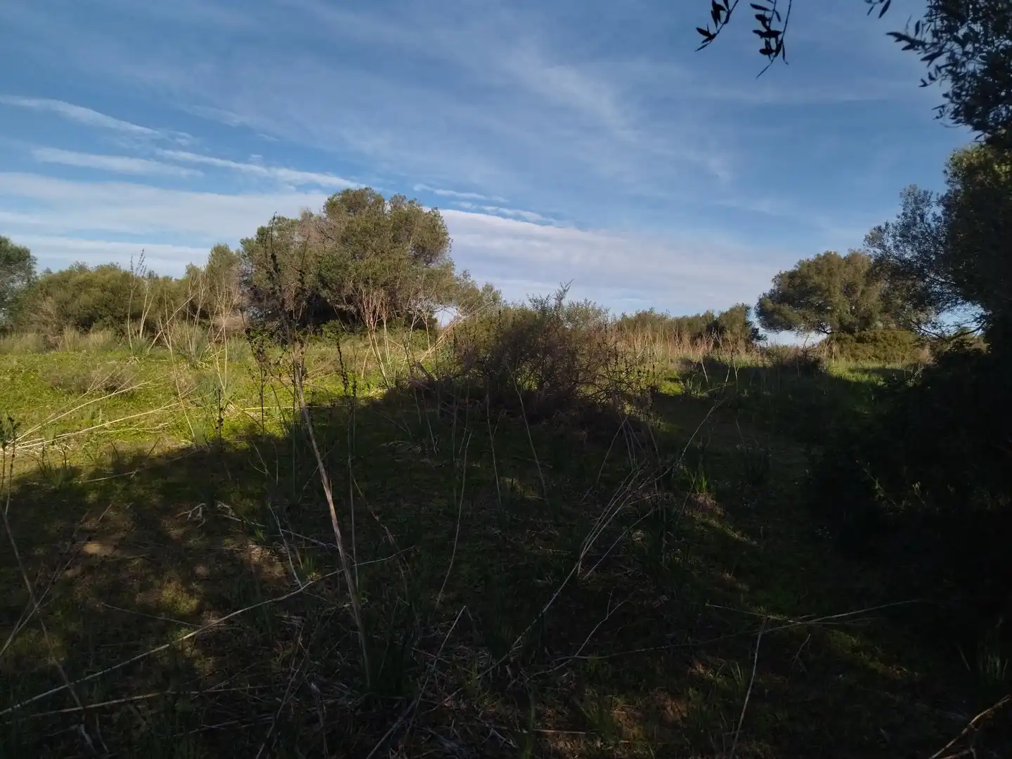 Terreno rustico in vendita a Carretera Arroyo San Ambrosio 385, imagen 25