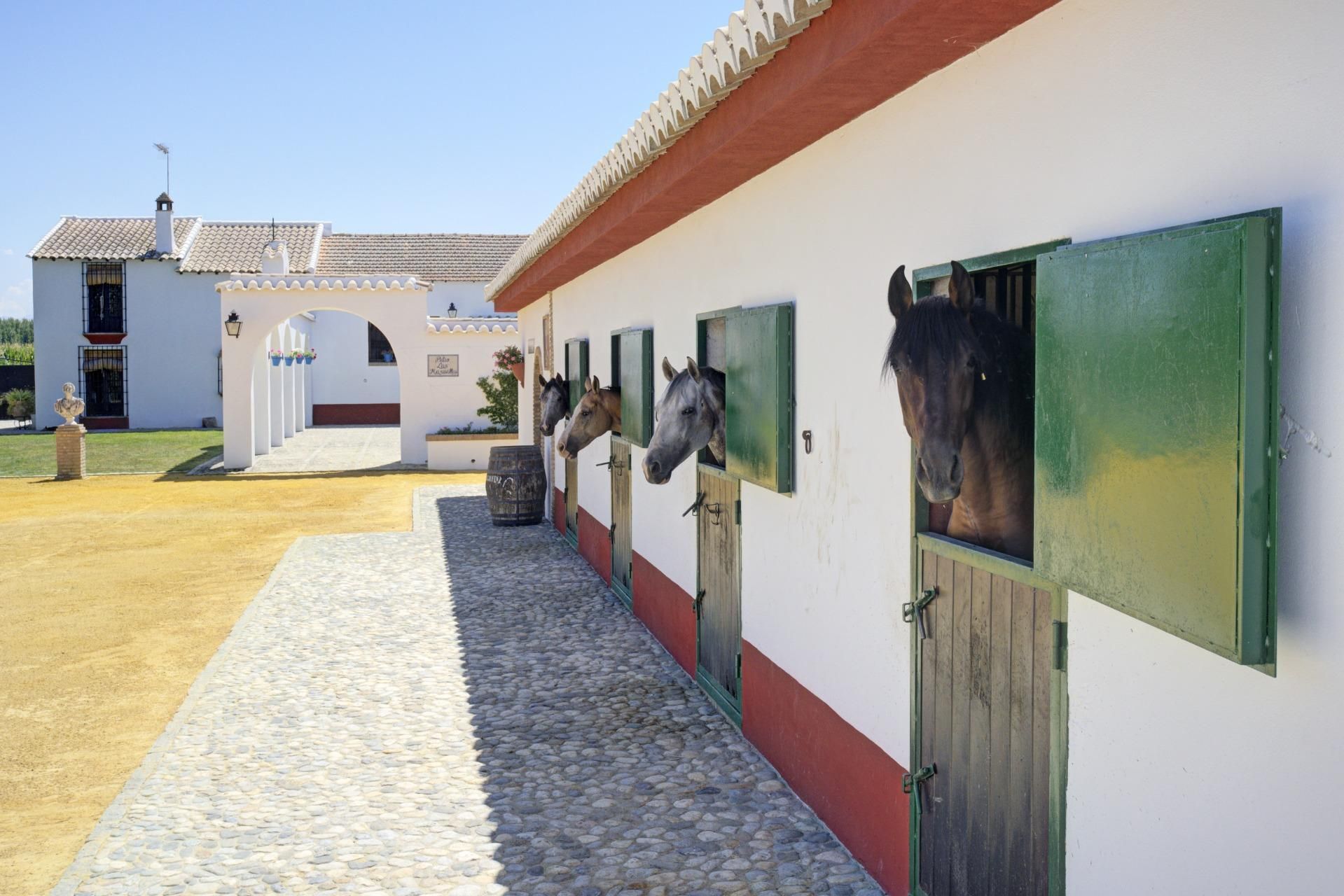 House or chalet for sale in Pinos Puente
