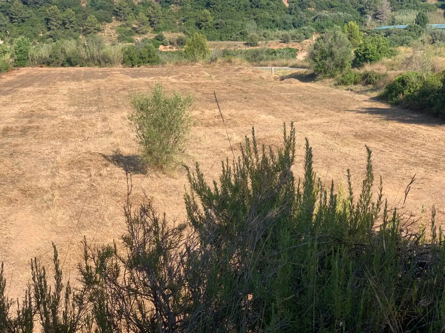 Terreno rústico en venta en Urbanització el Pinar 80, imagen 13