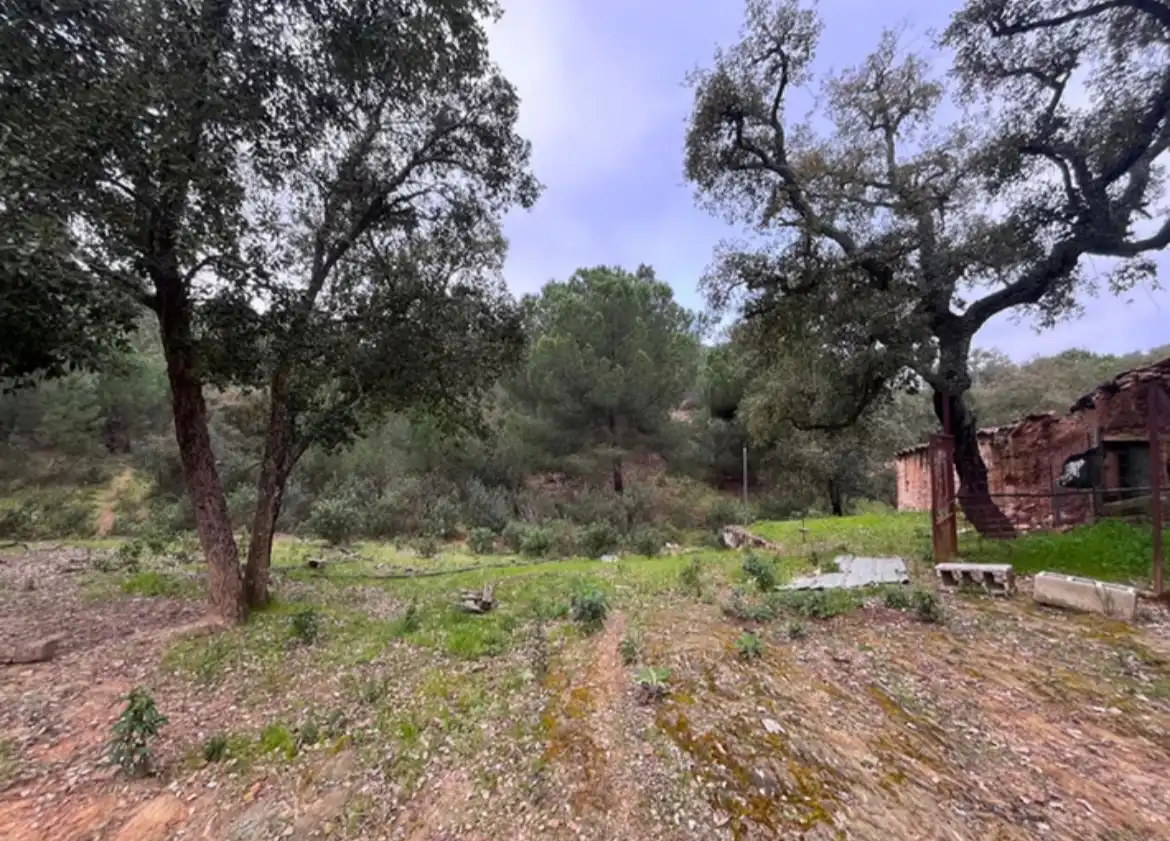 Terreno rustico in vendita a Camino de Valdelarco, imagen 5