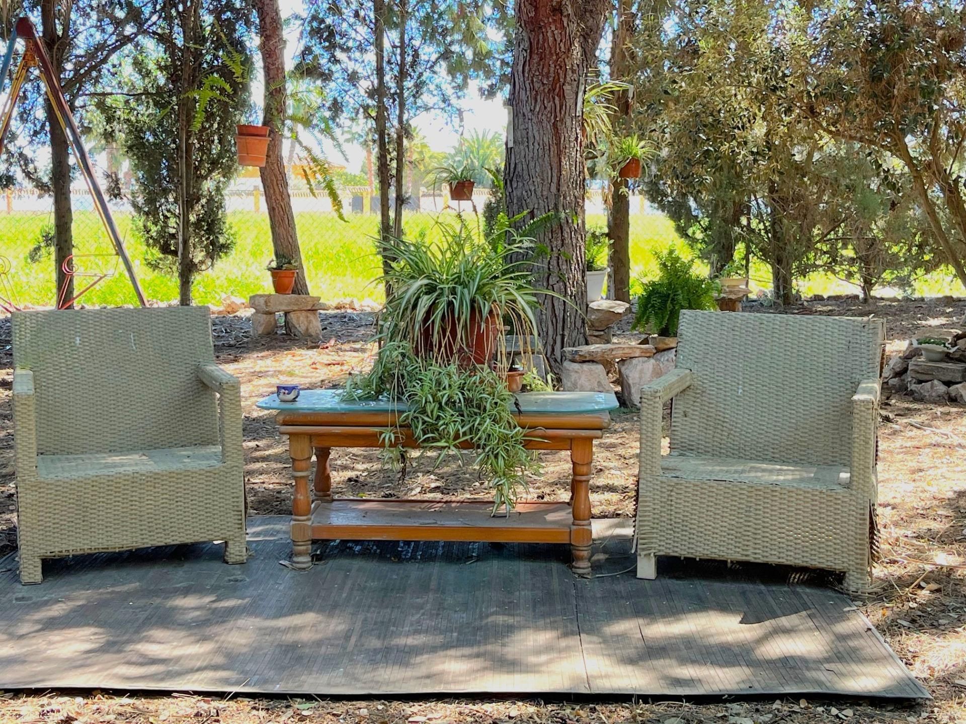 Terrace of Country house to rent in Catral  with Private garden