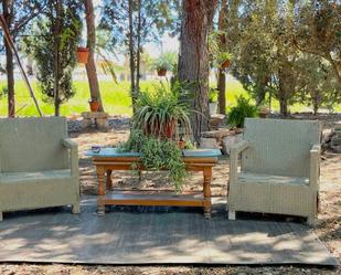 Country house to rent in Catral