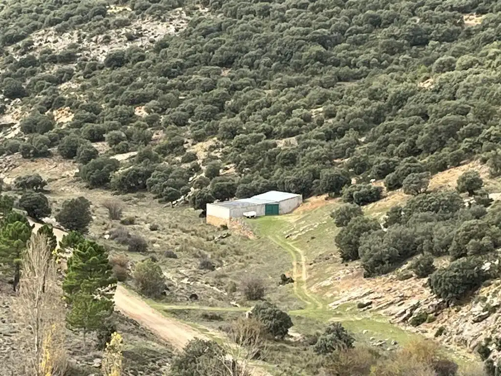 Vista exterior de Terreno en venta en Vianos