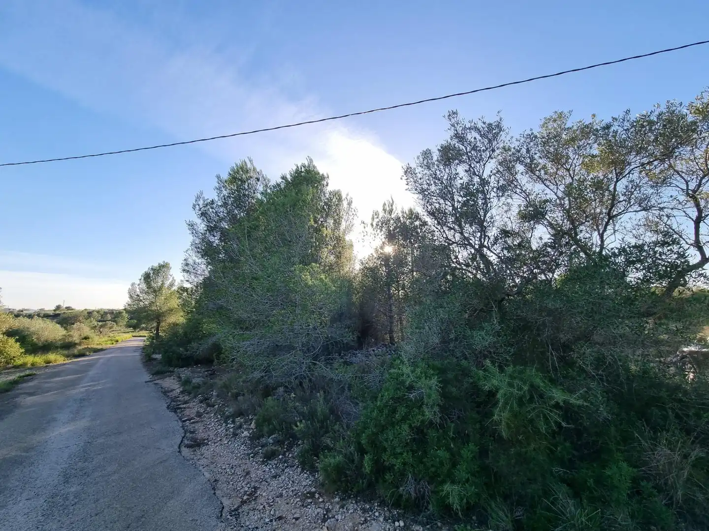 Terreno rústico en venta en Avenida Camí de l'Ametlla de Mar al Perelló, imagen 2