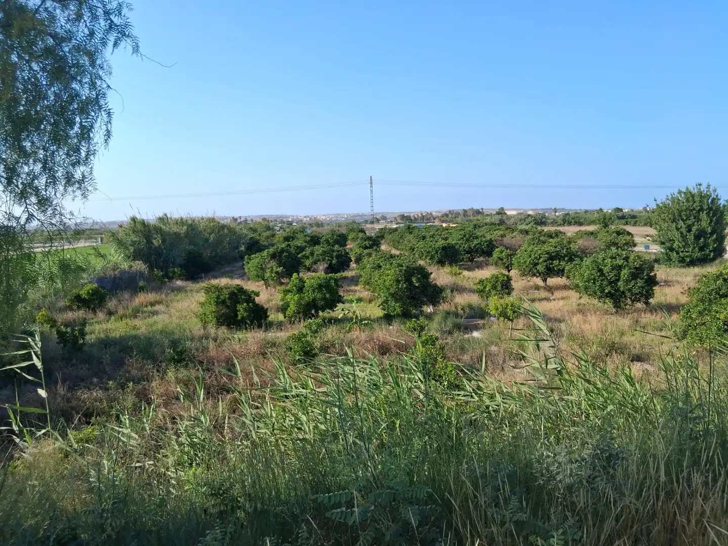 Rustikales Grundstück zum Verkauf in Avinguda del Mediterrani 39, imagen 3