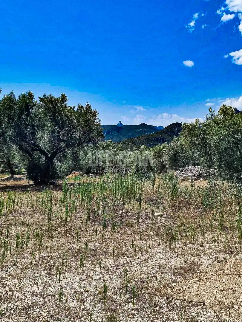 Maison rustique à vendre à Roquetes, imagen 4