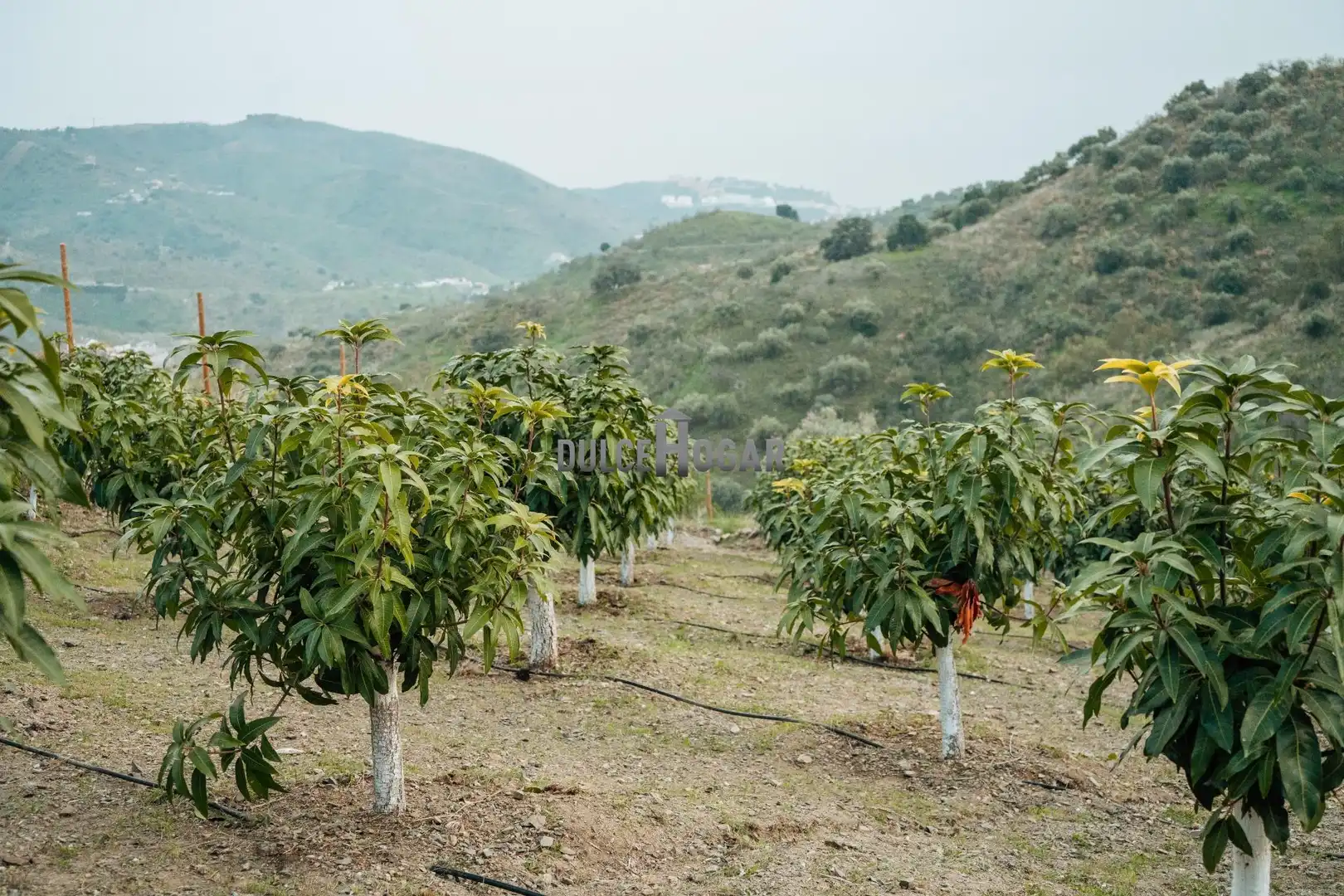 Finca rústica en venta en Moclinejo con Aire acondicionado, Calefacción y Jardín privado