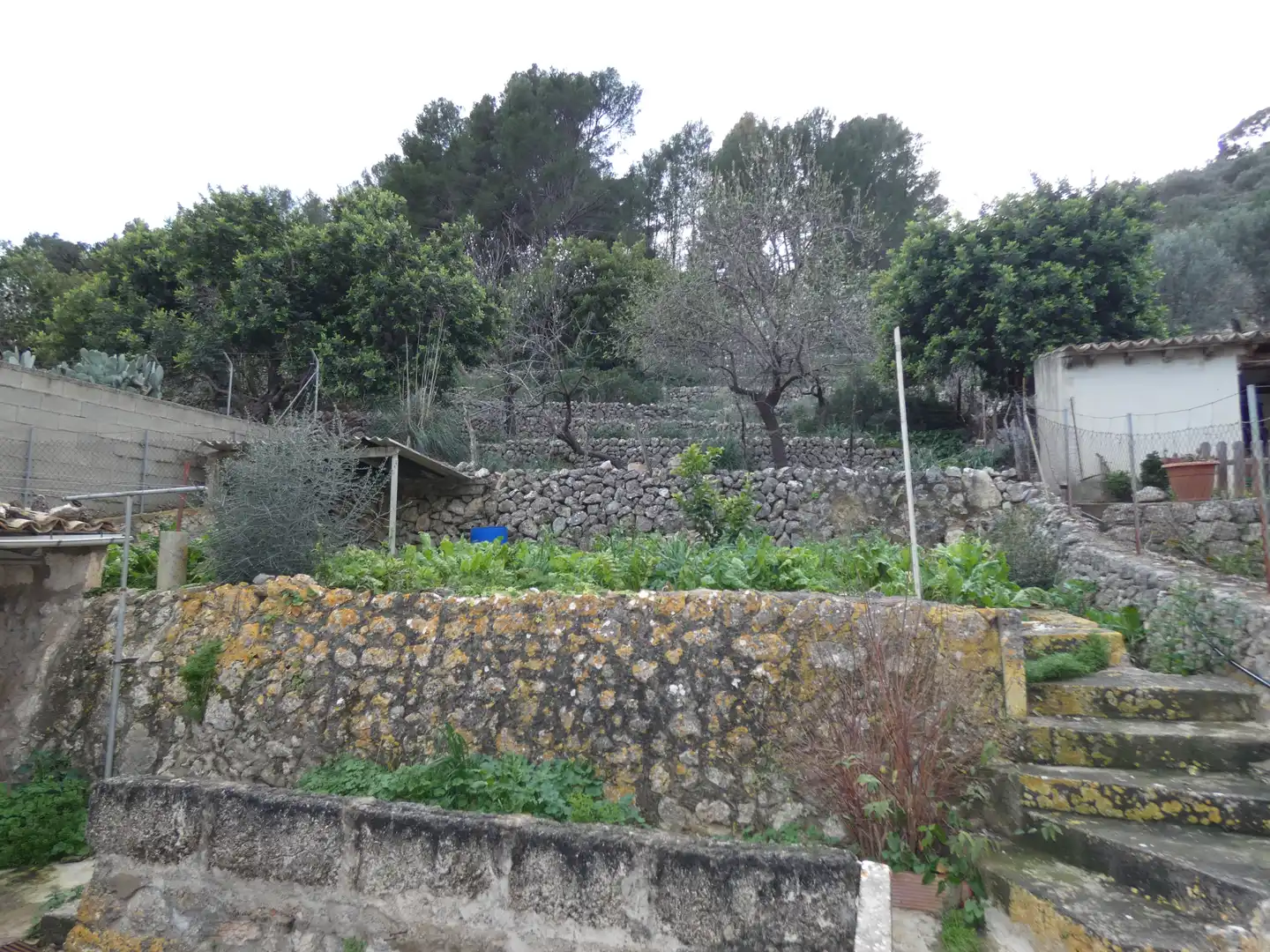 Haus mit Garten zum Verkauf in Selva, imagen 21