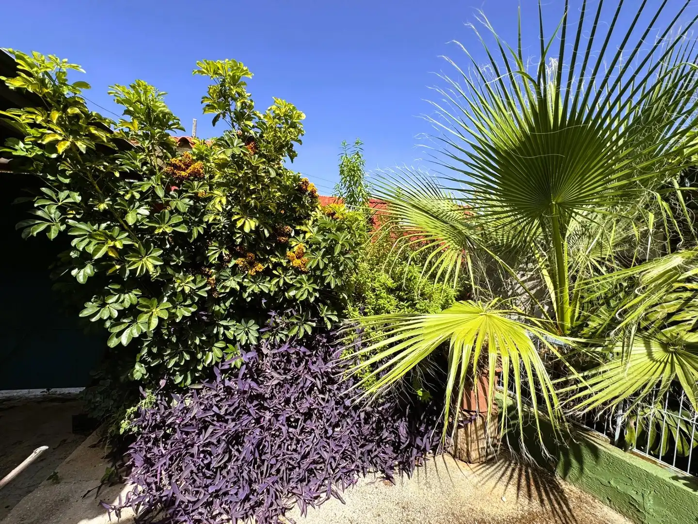 Garden of Houses for sale in Dénia  with Air Conditioner, Private garden and Terrace