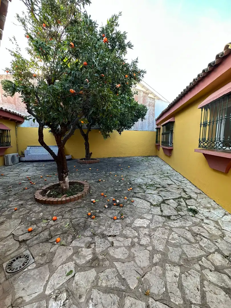 Casa o chalet de alquiler en El Rinconcillo