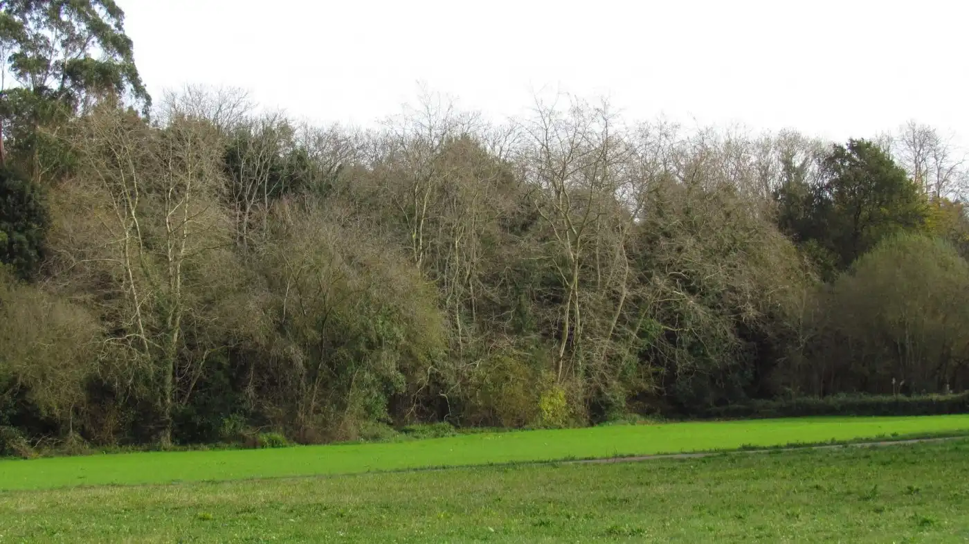 Country homes for sale in Ruiloba