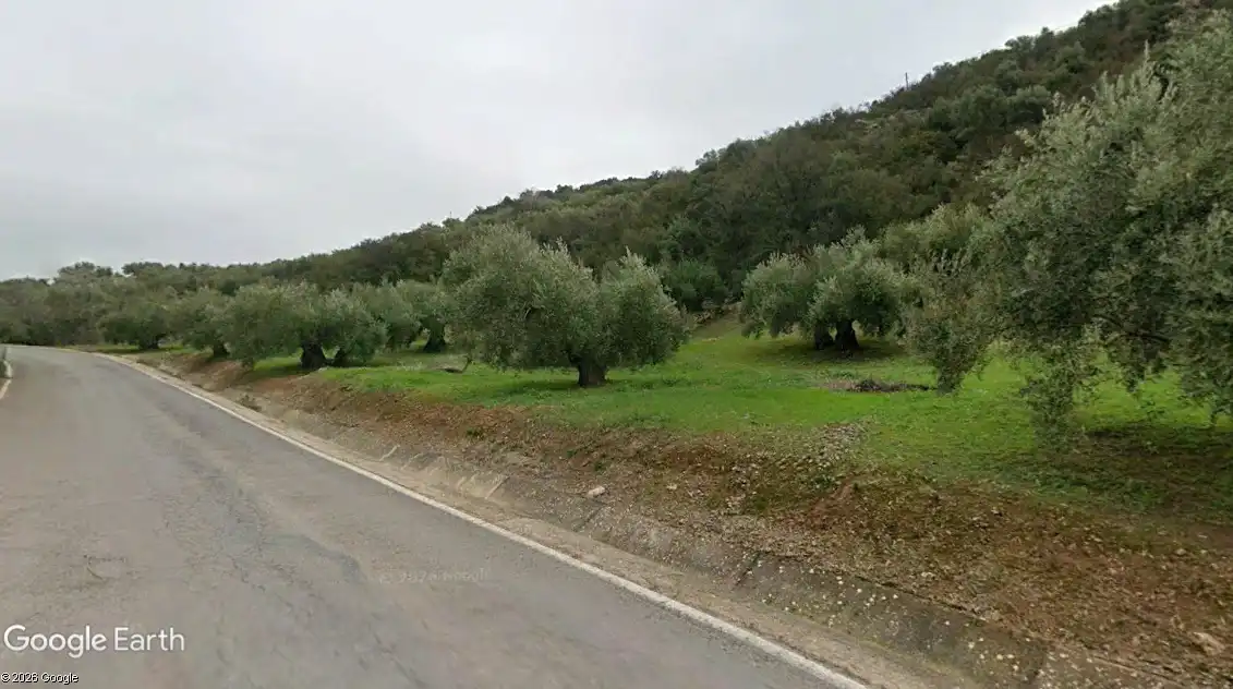 Terreny rústic en venda a Martos, imagen 2
