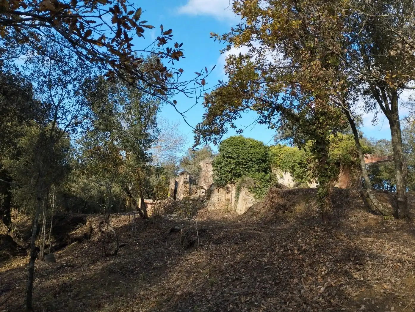 Finca rústica en venda en Quart