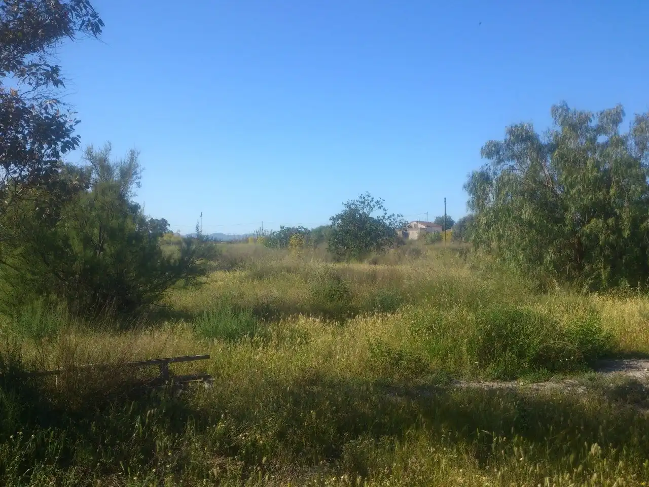 Terreno residencial en venta en Lorca Ciudad, imagen 2