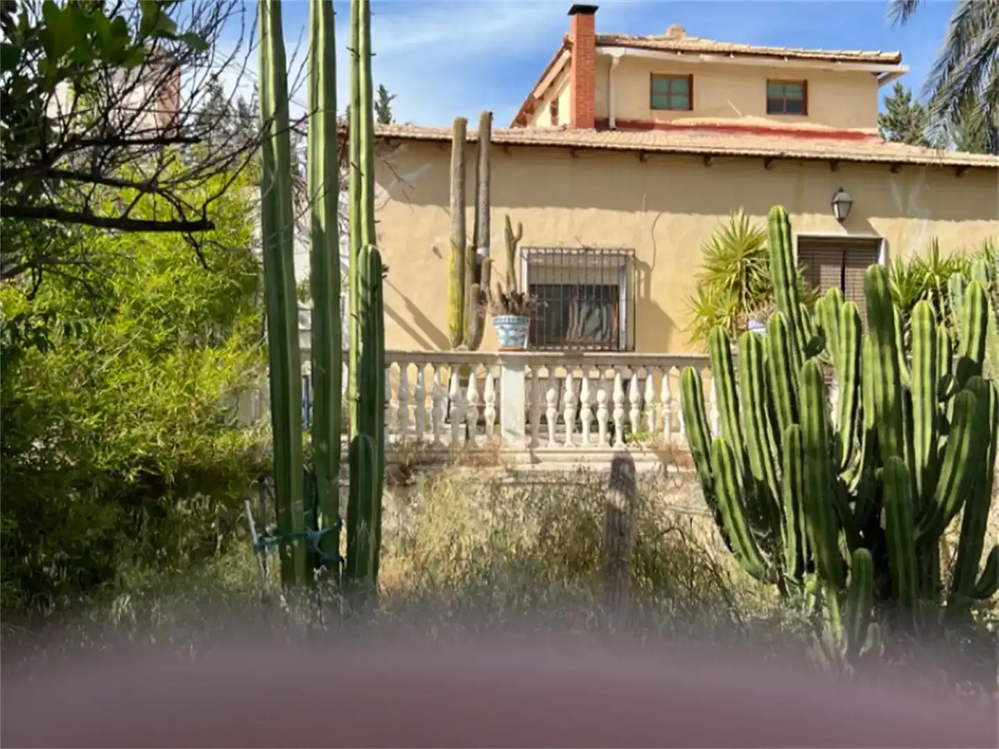 Vista exterior de Finca rústica en venda en Purchena amb Piscina