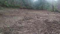Casa o xalet en venda en Cotobade amb Jardí privat