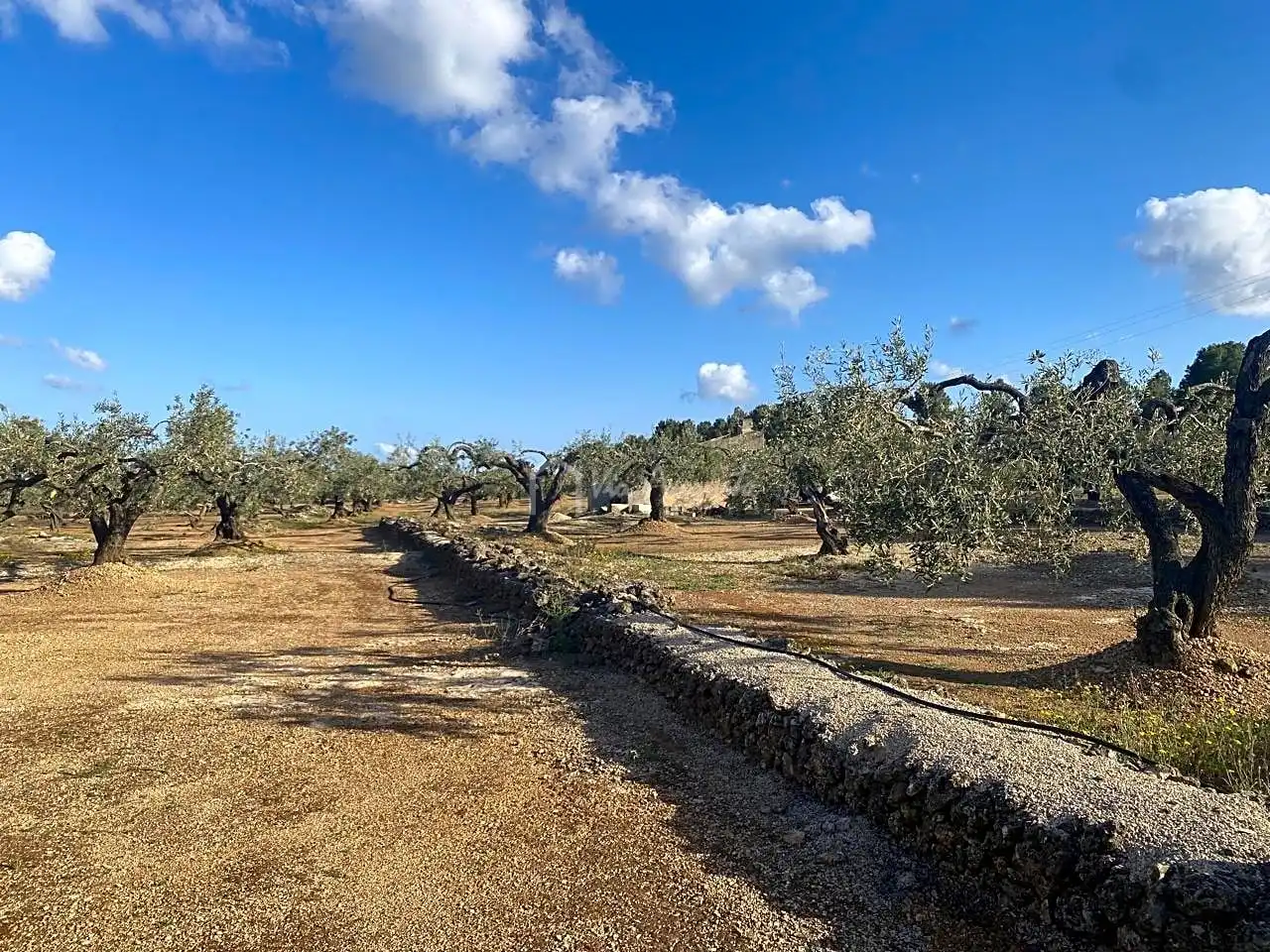 Terreno rustico in vendita a Burgà, imagen 13
