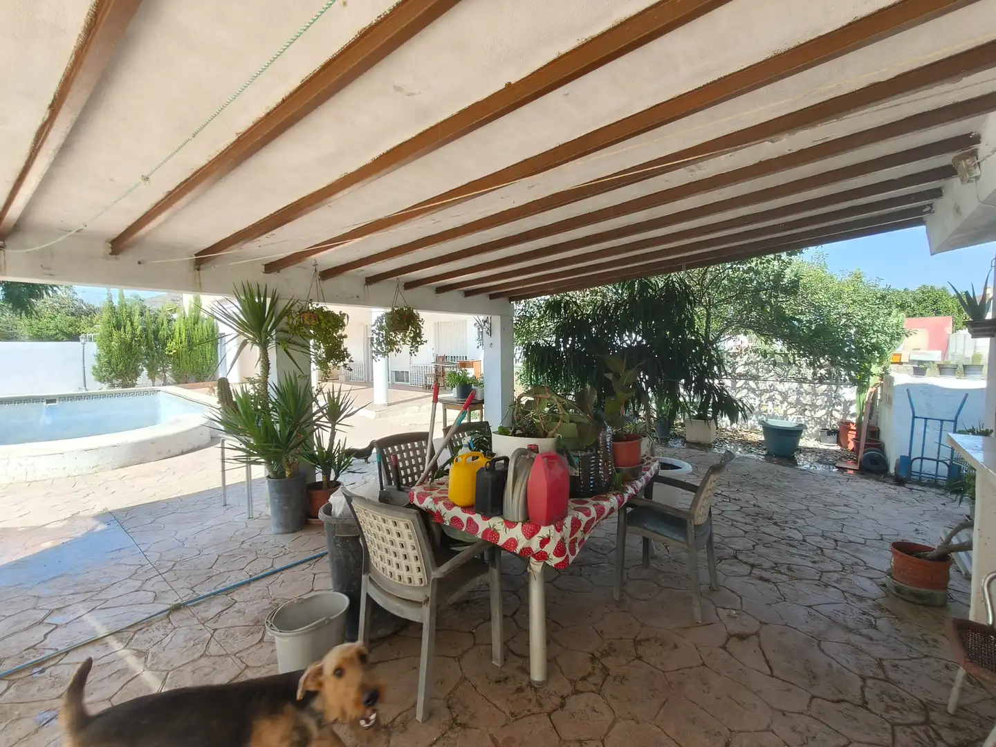 Terraza de Casa o chalet en venta en Montroi / Montroy con Jardín privado, Terraza y Trastero