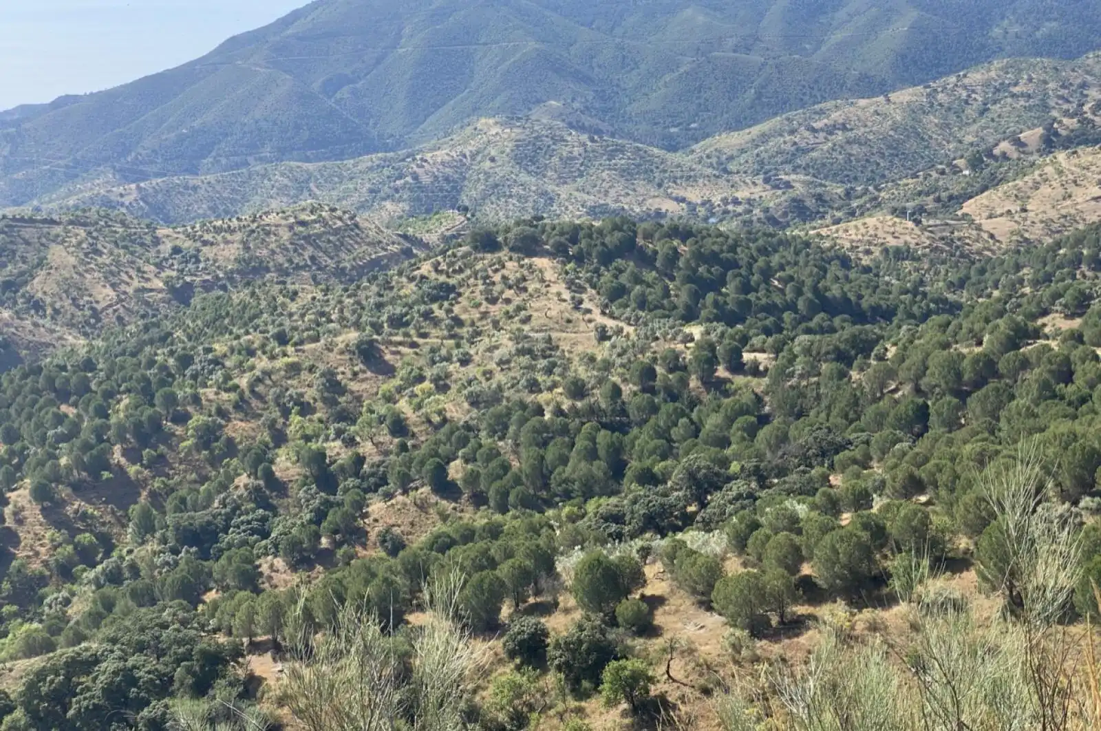 Terreni e lotti in vendita a huerto franco, imagen 14