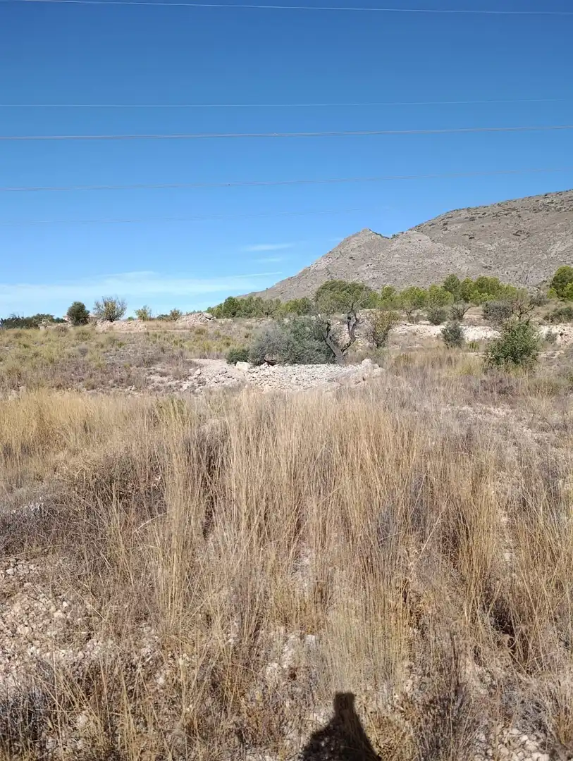 Terreno rustico in vendita a Hondón de las Nieves / El Fondó de les Neus, imagen 8
