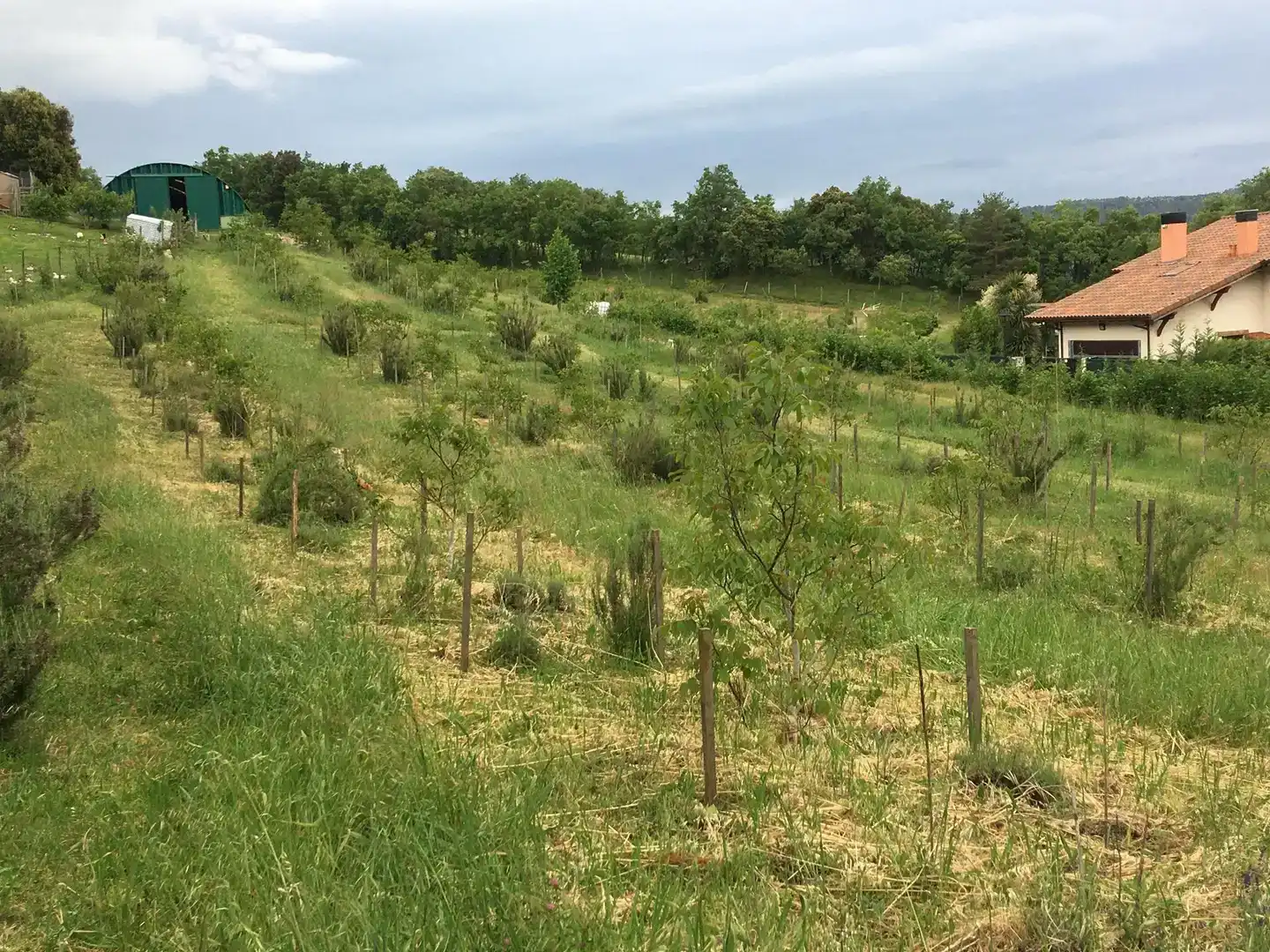 Casa o xalet en venda en Erriberagoitia / Ribera Alta amb Balcó